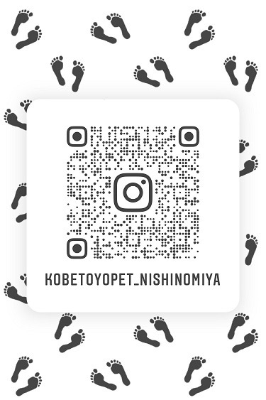 はじめました無料テンプレートデザイン。イラストや画像付きも豊富 - Canva キャンバ