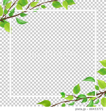 フレーム透過枠新緑グリーン葉っぱシンプルイラスト - No: 843309無料イラスト・フリー素材なら「イラストAC」