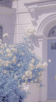 青の花影イラスト・フリー素材なら「シンテリ」