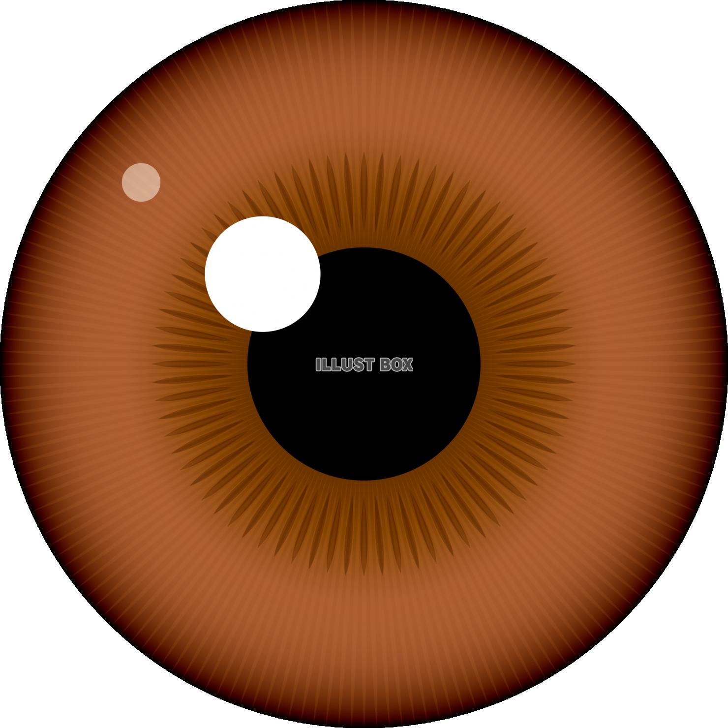ケータイ用語の基礎知識 第297回：虹彩認証 とは