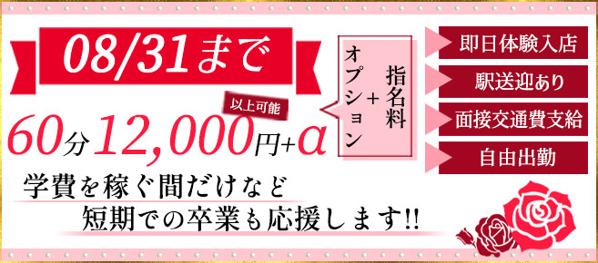 本番/NN/NS体験談！神奈川・大和の風俗10店を全75店舗から厳選！【2024年】 | Trip-Partner[トリップパートナー]