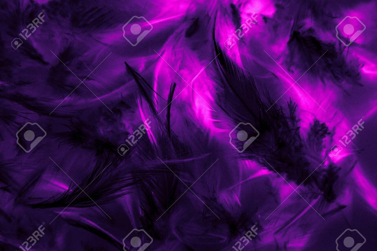 グラデーション黒紫背景 無料画像 - Public Domain Pictures