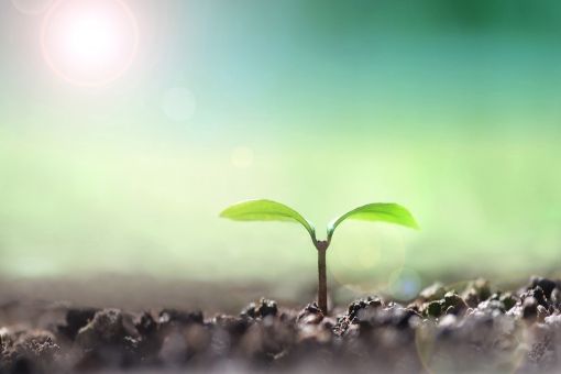 エコバッグのイラスト無料のフリー素材 イラストエイト