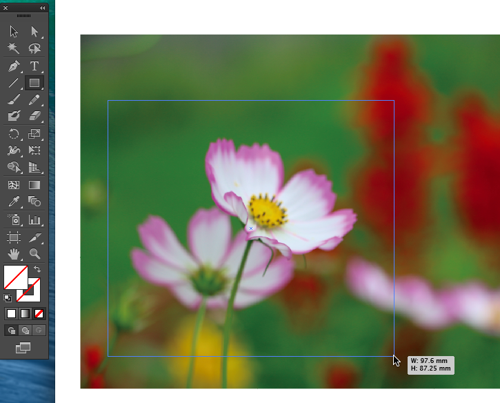 イラレで画像を切り抜く トリミング 方法2つと保存方法Udemy メディア