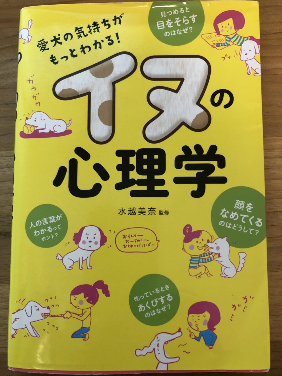 なめまわし皮膚炎 | 埼玉県皮膚科医会