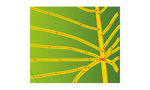 ベクターデータ 星梅鉢文月-BASE店-：家紋データ販売、家紋缶バッジ、ブックカバー販売中