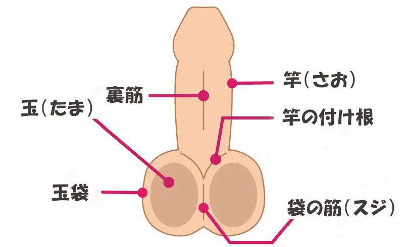 チンポ飴の早舐めチャレンジ！」途中でホンモノチンポを舐めさせて・・・。いやらしい舐め方咥え方でノーハンドフェラ！｜汁動画 痴女系専門無料動画サイト