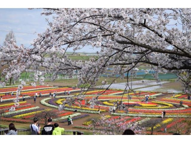 成田市のおすすめ6公園！子供に人気の遊具が揃う大きな公園、散歩におすすめの公園など！