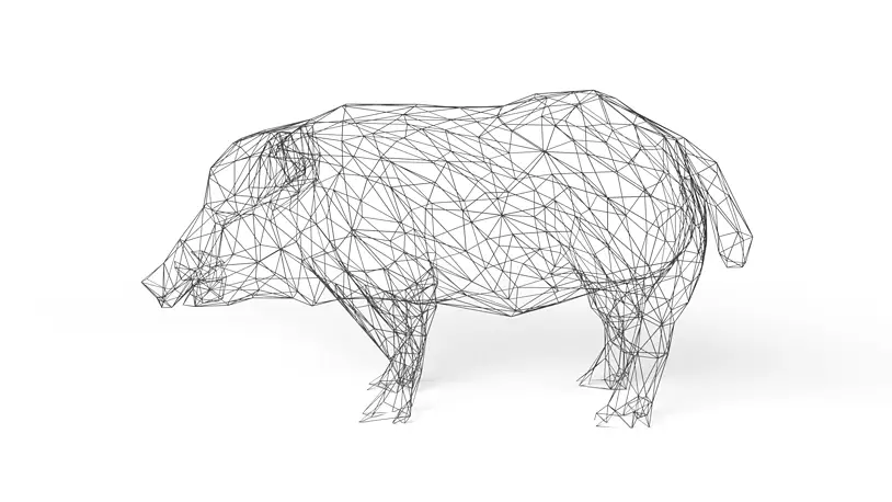 BlenderでモデリングしたワイヤーフレームをFlashで描画再生してみる。企業組合コンピュータユニオン