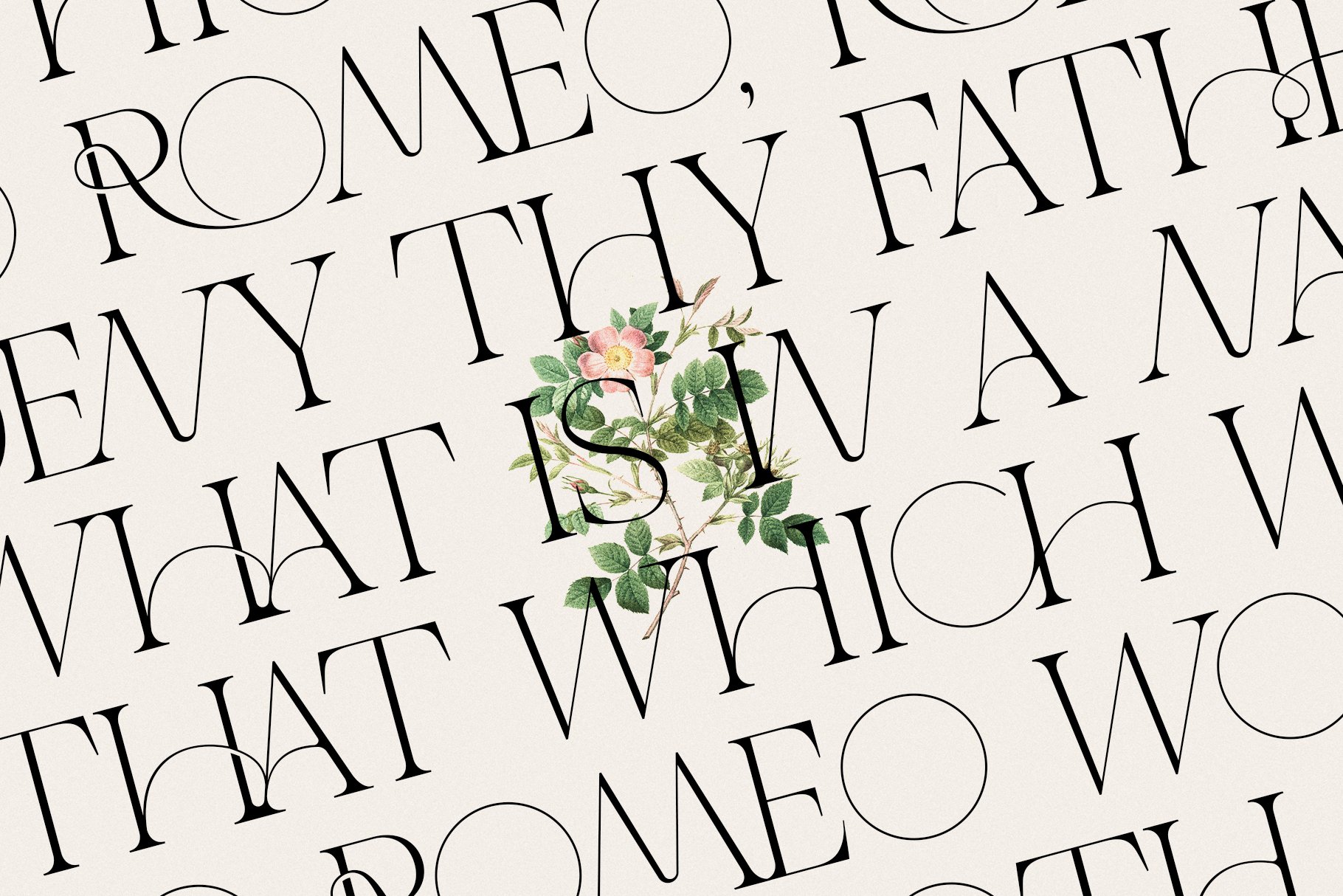 デザイナーが選んだおすすめの筆記体フォント37選！おしゃれ・手書きなど目的別に紹介