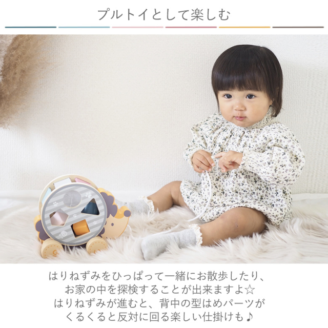 出産祝い１歳誕生日 ポーラービー PolarB 名前入りソーティングプルトイ・はりねずみ