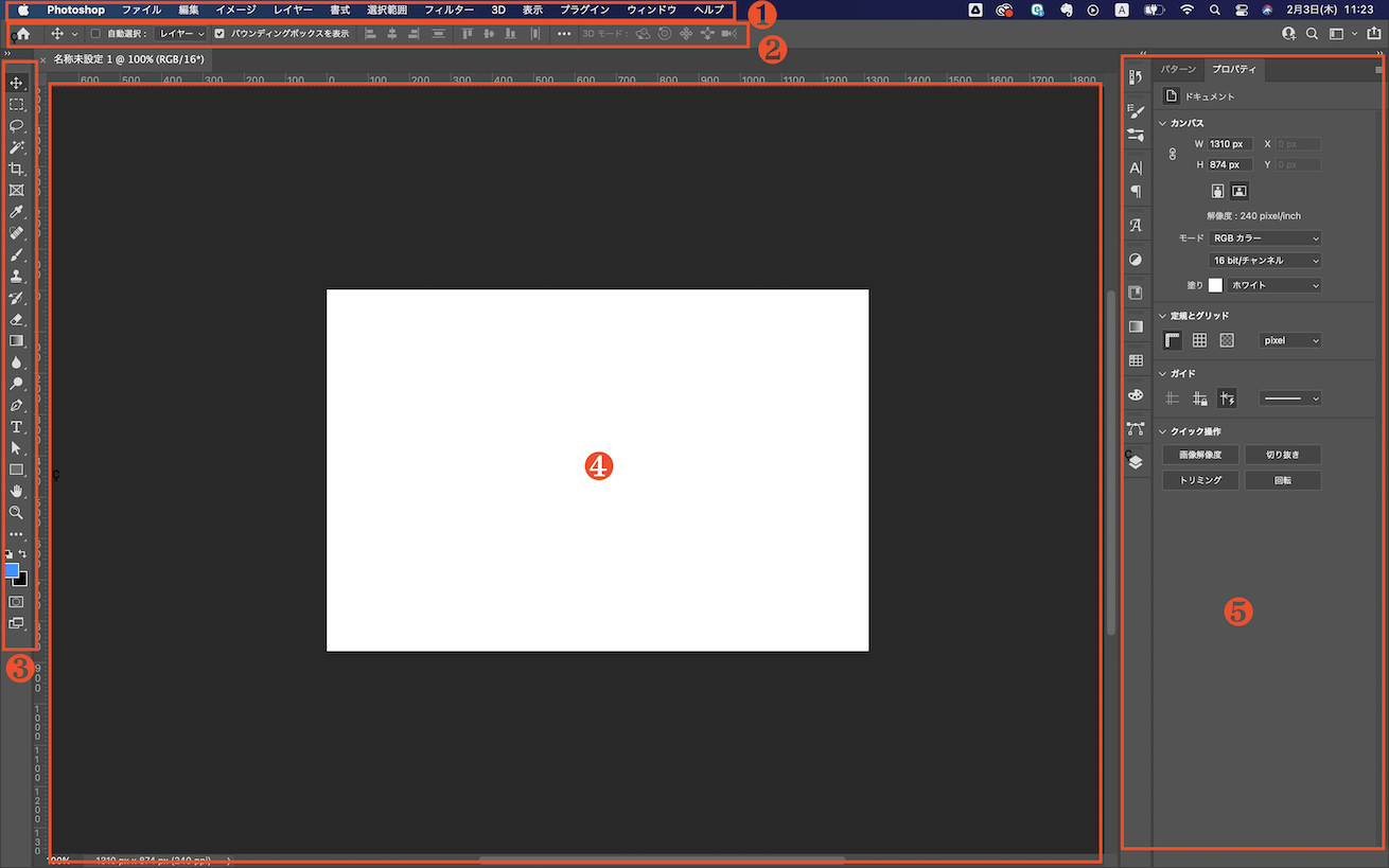 PhotoshopとIllustratorどっちを先に勉強すればいい
