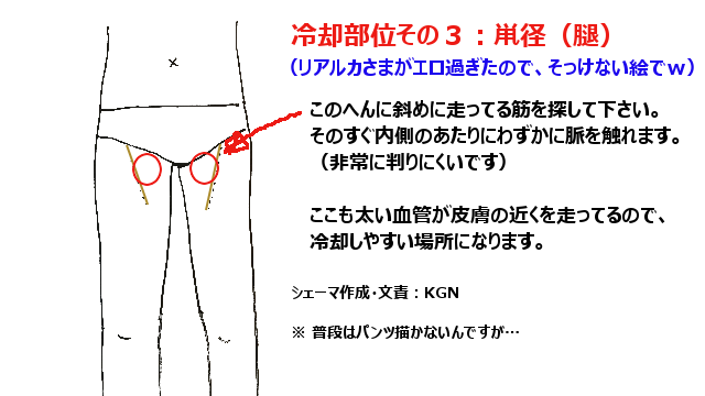 夏だし冷えピタオナホつくるぞ！！ – おなほっと