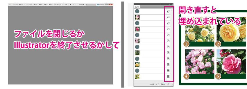 2025 イラレの画像の埋め込みとは？リンク配置の違いや埋め込みの方法も解説BIZ ROAD ビズロード