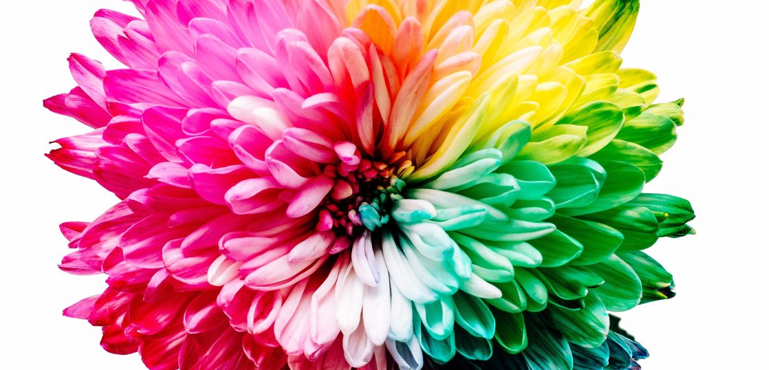 2025 流行色 パントーンとＪＡＦＣＡ 世界４都市４大コレクション ピッティ 最新情報 arc越谷店オーダーサロンアーク