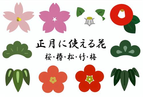 ミントグリーン色の抽象と植物の円要素の9つのラインアートアイコンラウンドロゴのセットPremium写真