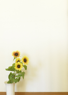 木,板,背景,白,看板,フレーム,イラスト,シンプル,手書き,手描き,壁紙,白木：イラスト無料