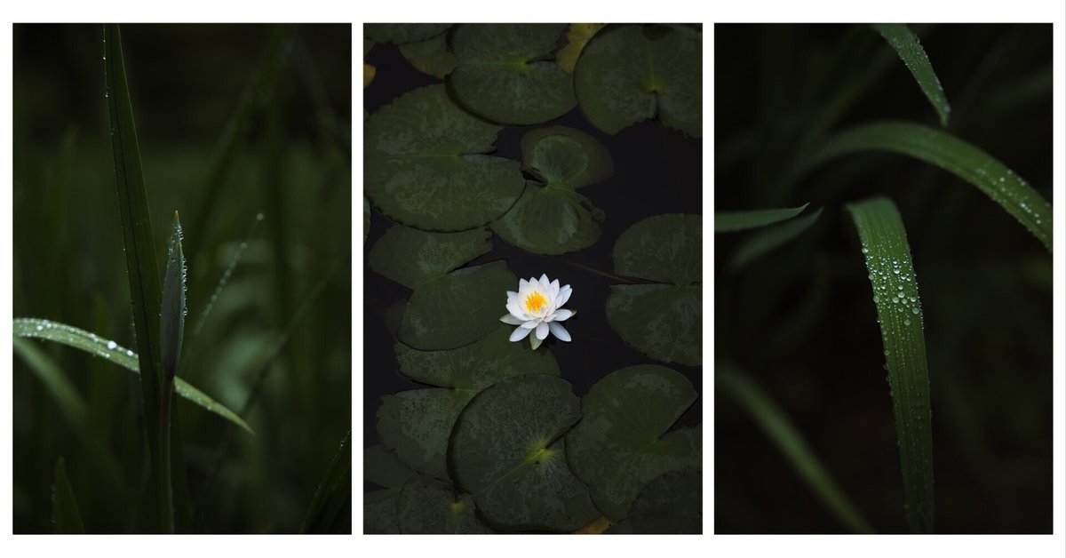 インスタ加工フレーム加工TikTok