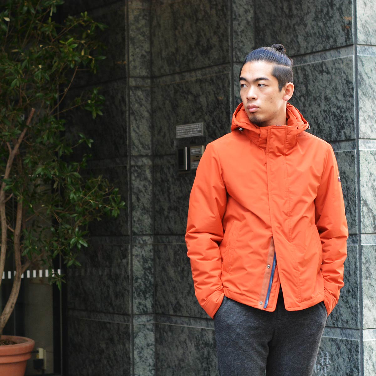 サメのロゴ pngPNGWing