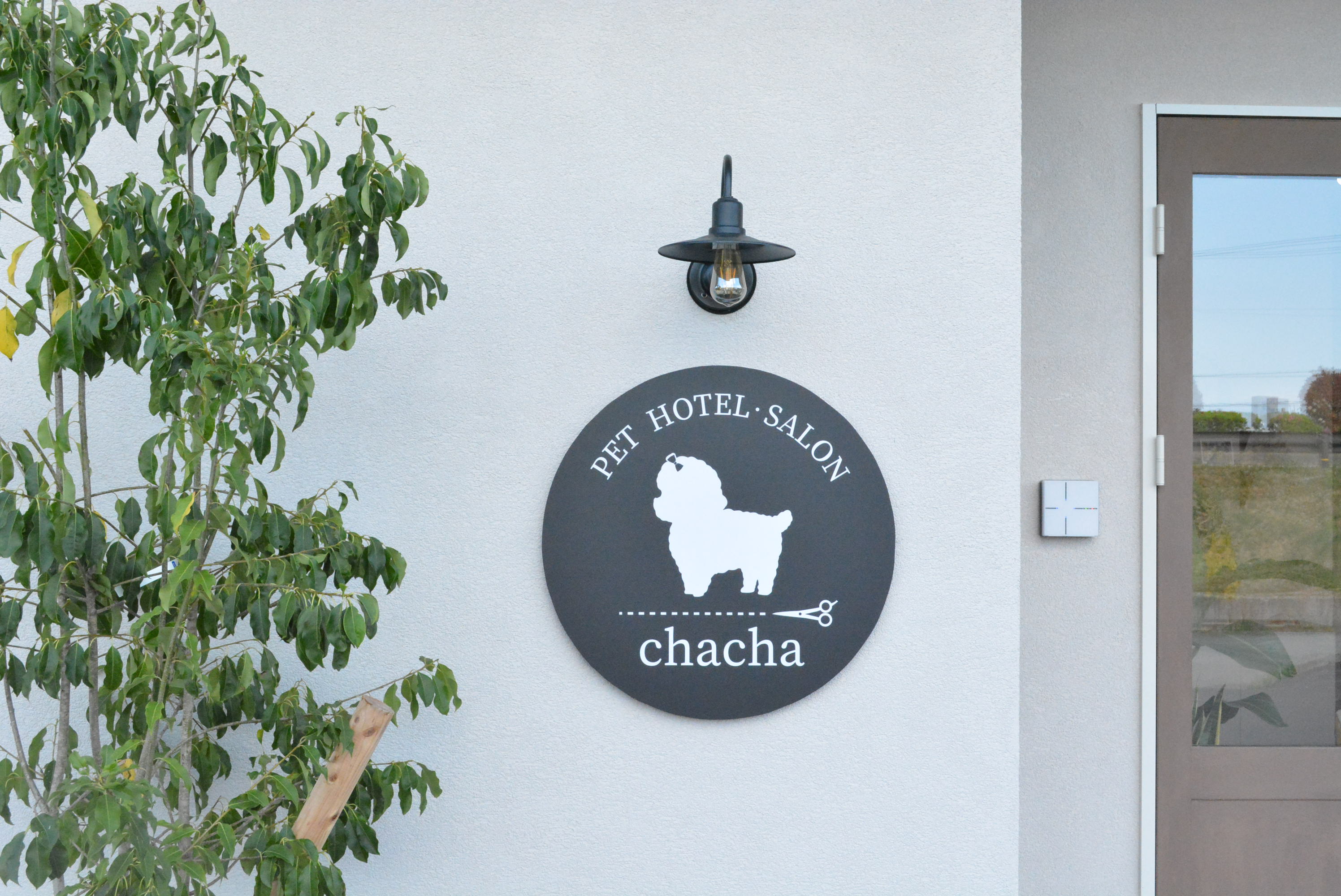 トリミングサロン&like様 ロゴデザイン - hamy design