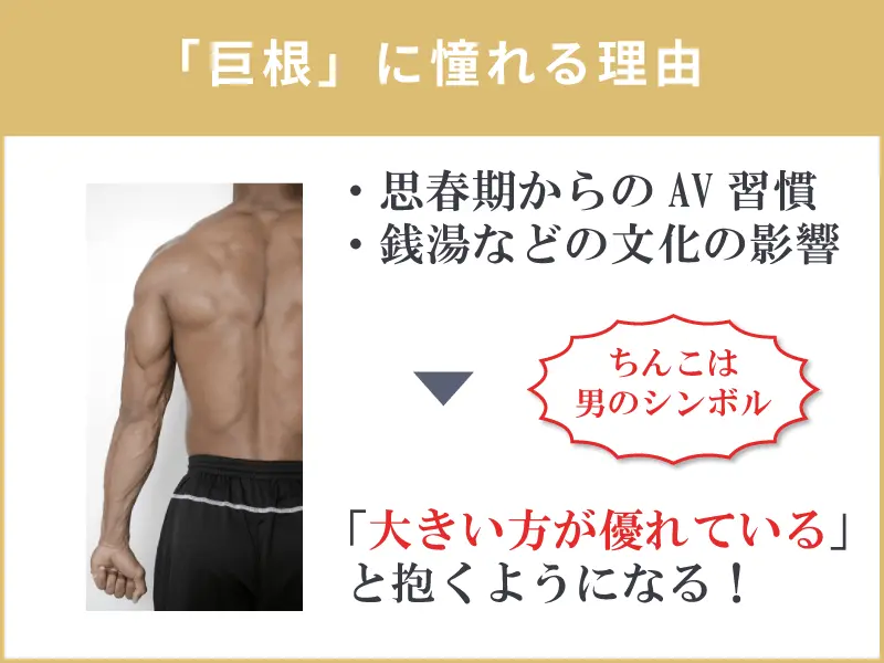 巨根は何センチから？その目安やメリットと巨根を目指せる方法を解説 | 包茎手術のノーストクリニック【公式】