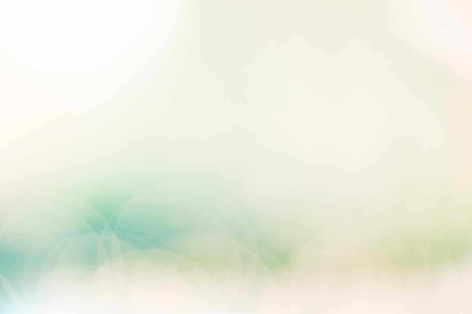 背景素材 木目の板と観葉植物の写真・画像素材-Snapmart スナップマート