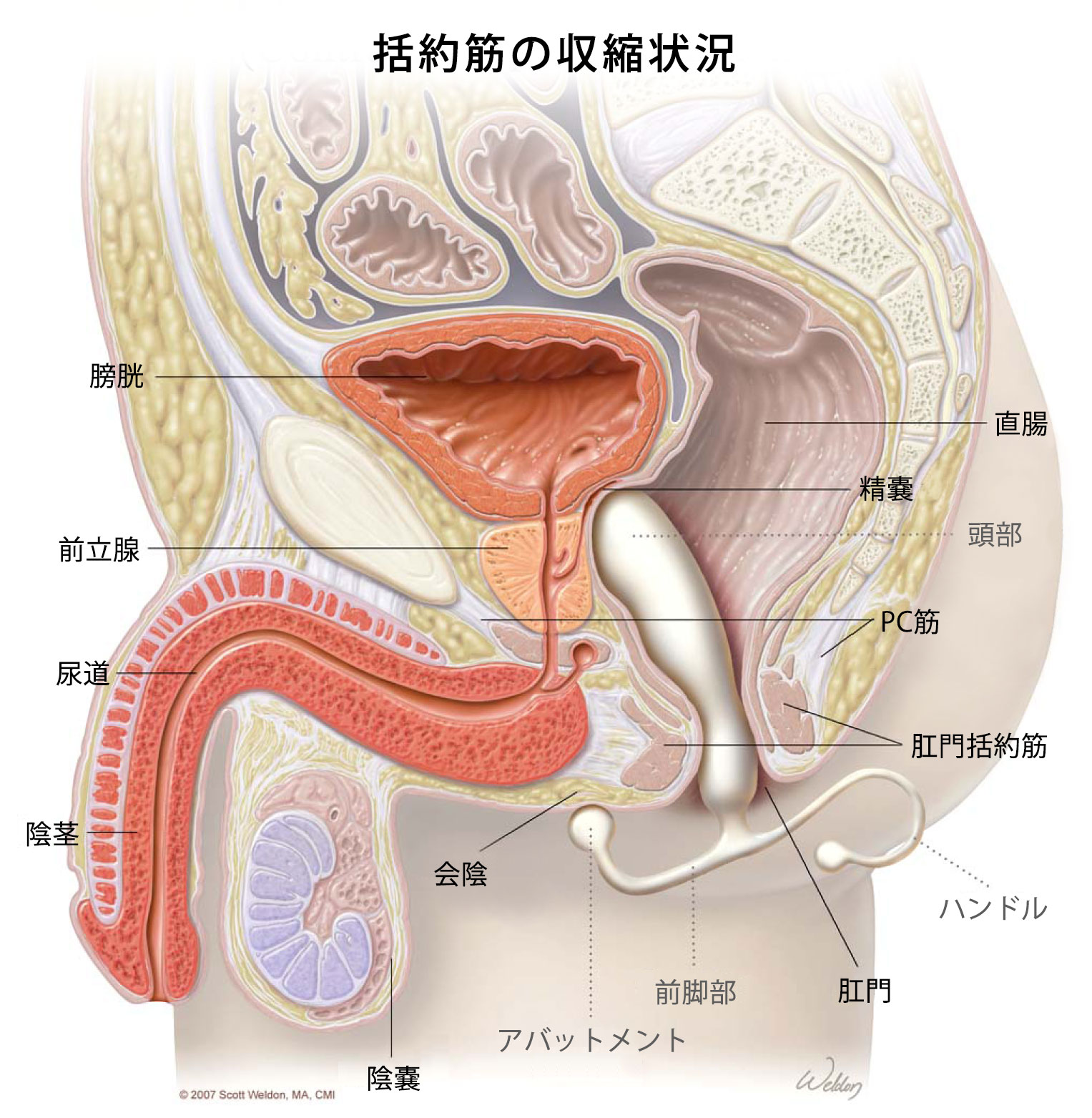 全商品 | アネロスジャパン |