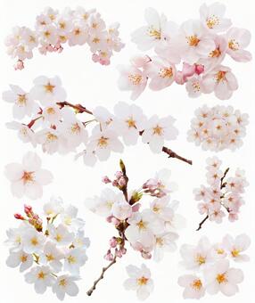 白透明背景画像素材、無料ダウンロードのためのPngtree 白透明のフリー背景ベクトルとpsdファイル