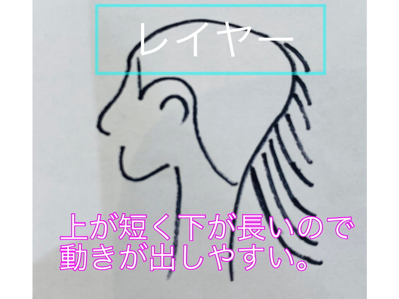 Photoshop グラデーションのかけ方を総まとめ