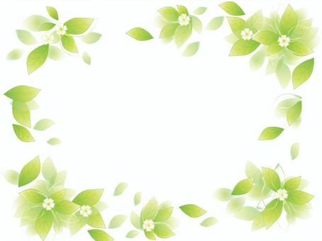 フリーイラスト緑の葉っぱと木漏れ日パブリックドメインQ：著作権フリー画像素材集