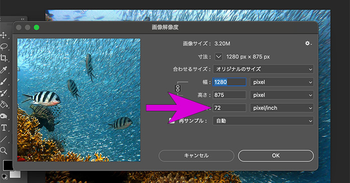 Photoshopベータ版、生成アップスケールと画像解像度の拡大の違いについて CAMPFIREコミュニティ