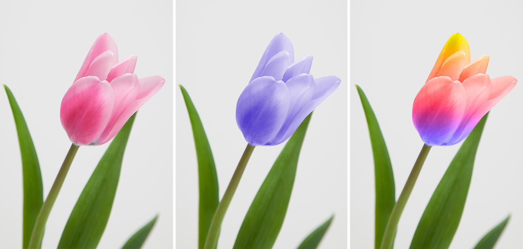 刺繍のおひつじ on X: 