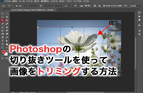 Photoshopでフォトストラクチャをプロフェッショナルに挿入する