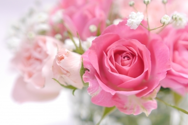 💐花束と女の子のフリーアイコン💐 秋にぴったりなドライフラワーの花束と 女の子のフリーアイコンを作りました🍂 いっぱい使ってくれると嬉しいです♡𓐄 𓐄 𓐄 𓐄 𓐄 𓐄 𓐄 𓐄 𓐄 𓐄 𓐄 𓐄 𓐄 𓐄 𓐄 𓐄 𓐄 𓐄 𓐄 𓐄 🎁まりなーとフリーアイコン⚘ LINEやX、Instagram