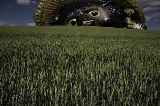 おもしろ背景画像素材、無料ダウンロードのためのPngtree おもしろのフリー背景ベクトルとpsdファイル