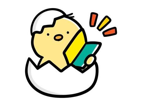 かわいい初心者マーク ステッカー ごめんね ネコ 交通安全 猫 白猫 ブルー 15cm 安全運転 免許 シール 注意