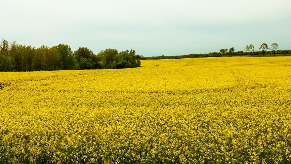 バレンタインデーの英語文字テキスト チョコレート色のハートマークの背景イラスト素材 イラスト素材7430778- フォトライブラリ
