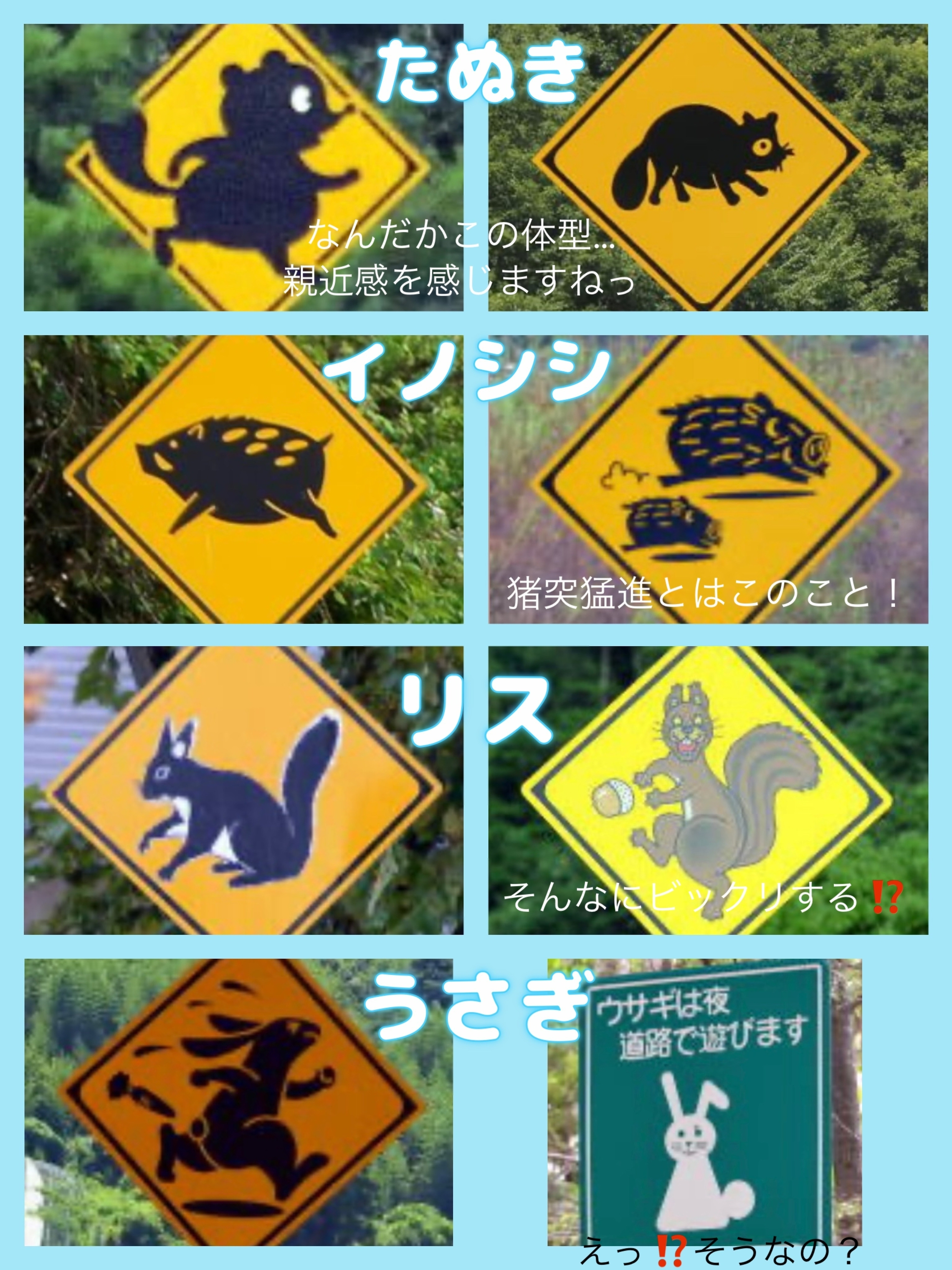 観光案内サイン サイン・看板 株式会社アムス