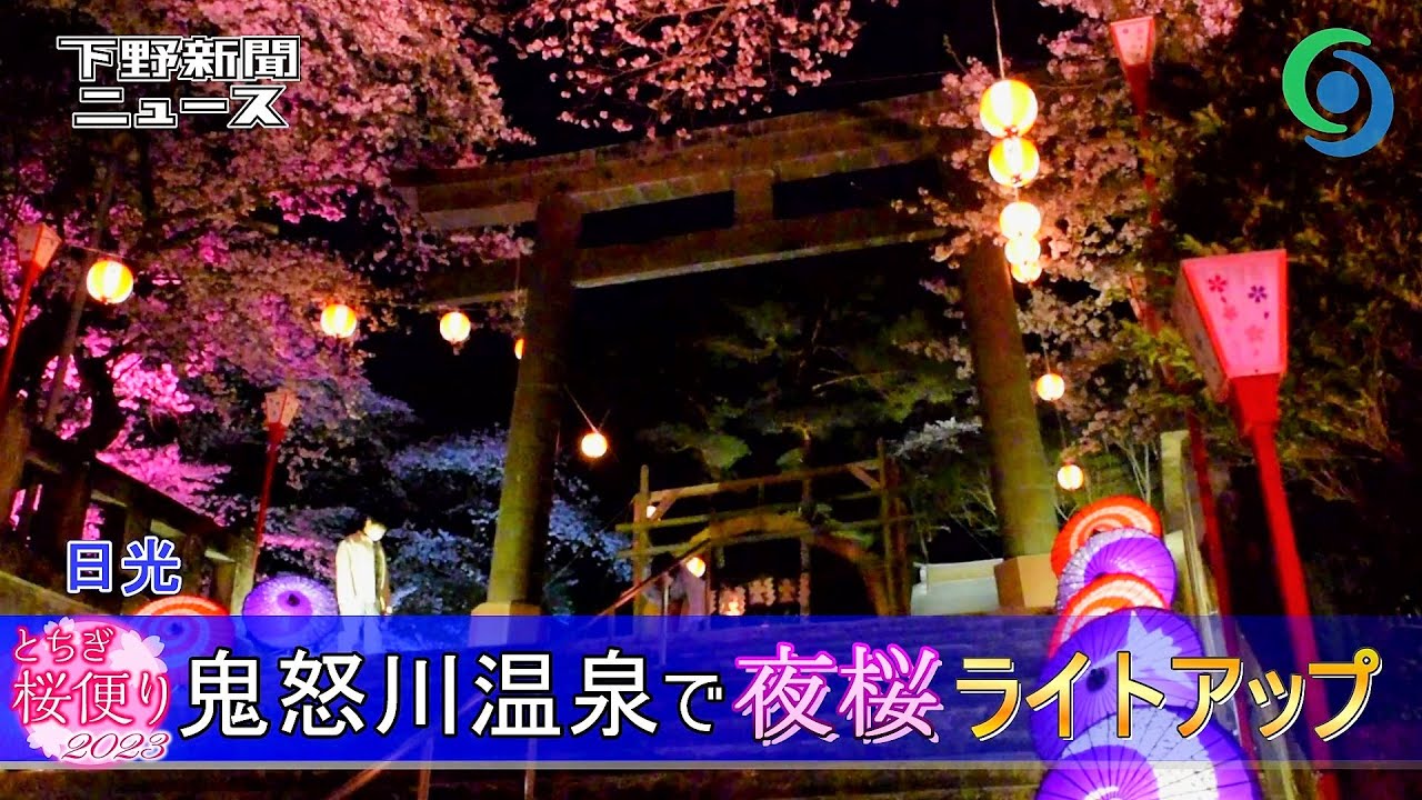 公式】鬼怒川万華郷（旧夜桜大宴会）｜鬼怒川イベント – 栃木県日光市鬼怒川の桜イベント夜桜大宴会。毎年桜のライトアップをしています。