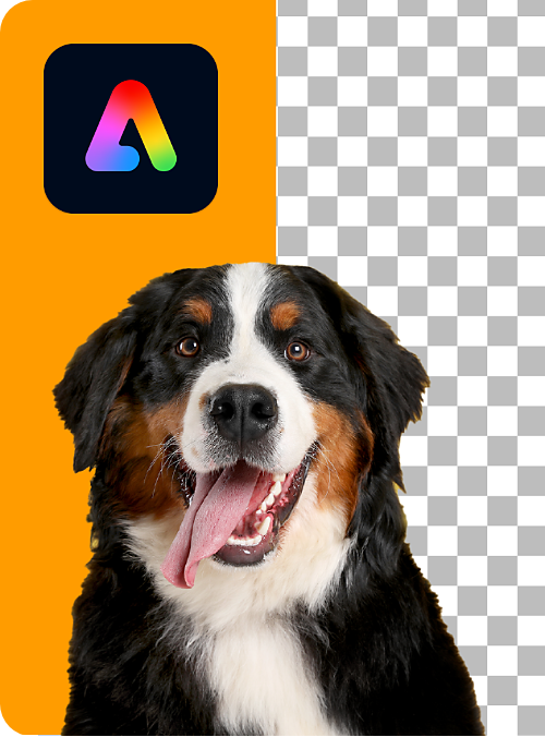 AIで編集機能が強化された「フォト」、写真の背景や邪魔ものを消す使いこなし術日経クロステック xTECH