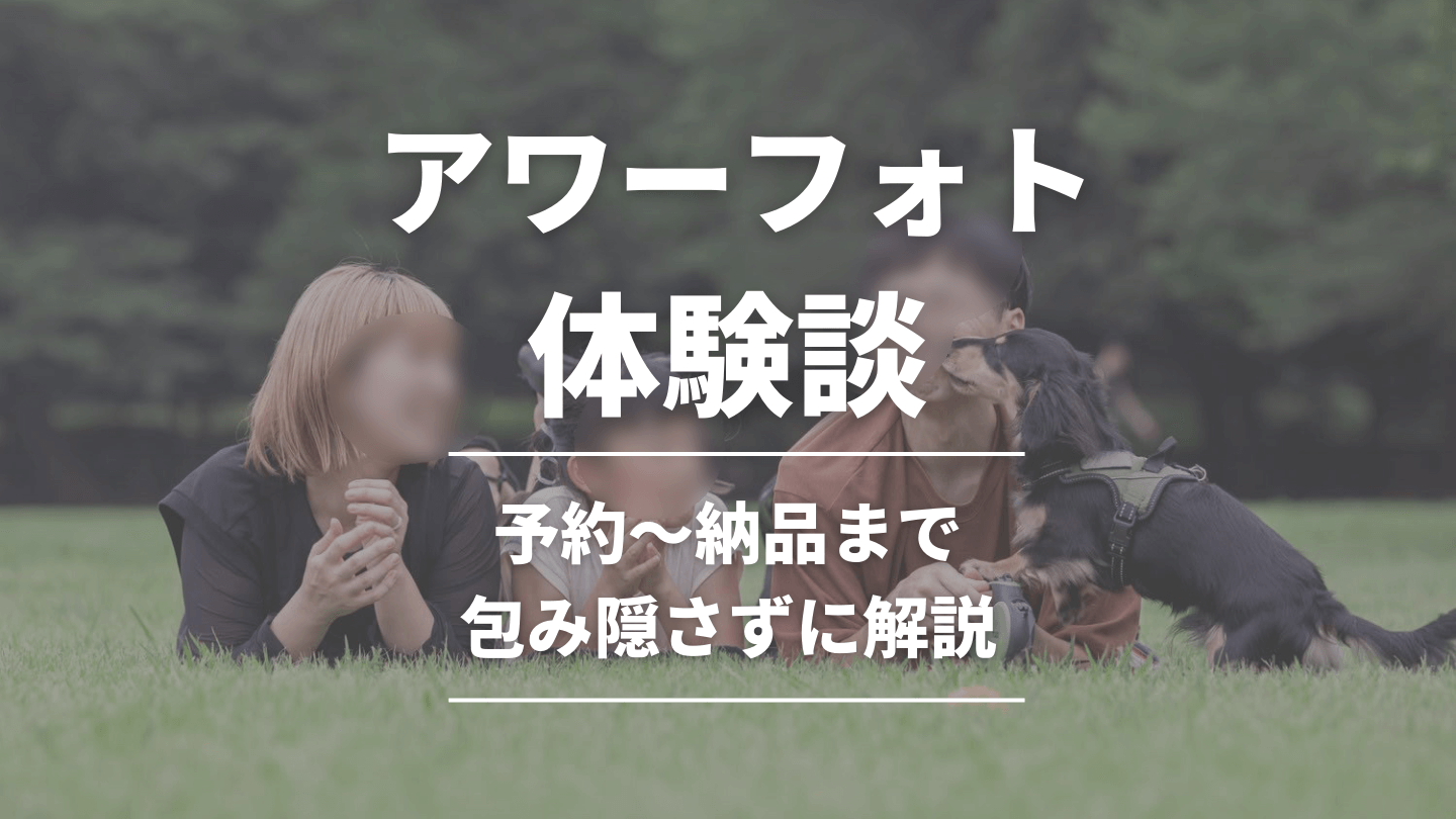 素人体験談】ポリッシャー (磨き) で過去にこういう失敗しました！ | 車の大辞典cacaca