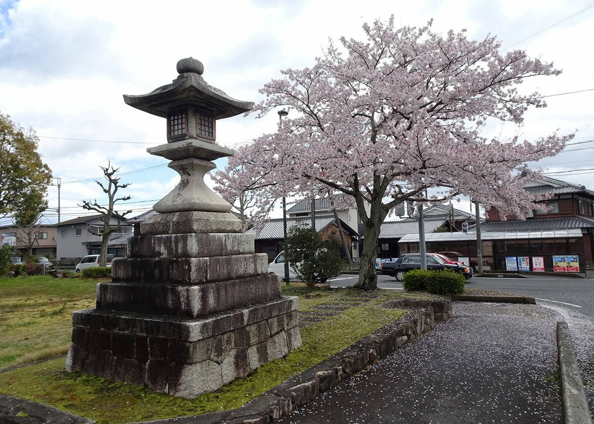 幡ヶ谷ゴールデンマンションの建物情報/東京都渋谷区幡ヶ谷１丁目｜【アットホーム】建物ライブラリー｜不動産・物件・住宅情報