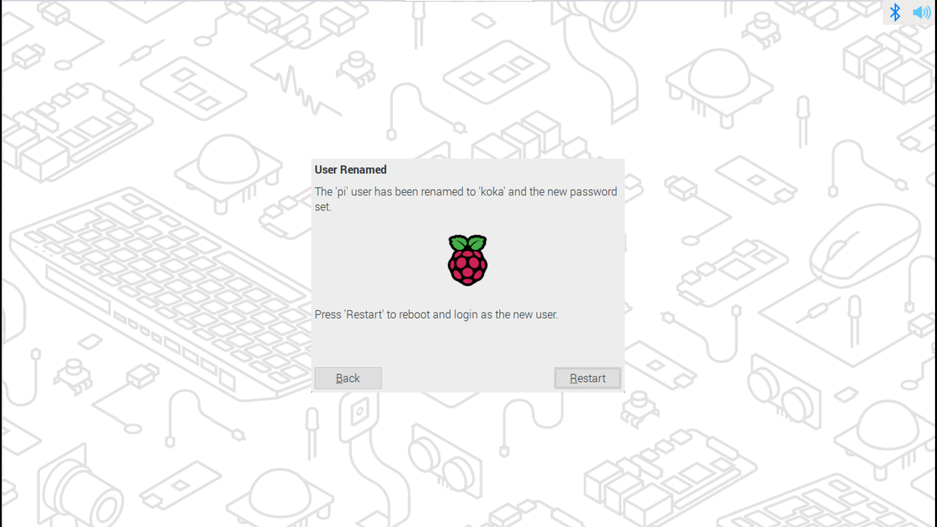 こじ研 Raspberry Pi