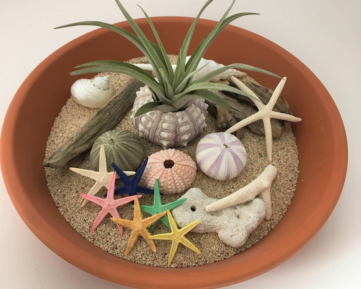 八王子クラフトリキュール どこよりも早く販売開始しています。 八王子の素材を使用 八王子で作る 八王子のお酒 八王子クラフトリキュール 八王子お酒八王子産 八王子市 クリエイター saori802SKY STATIONのニュースまいぷれ 八王子市