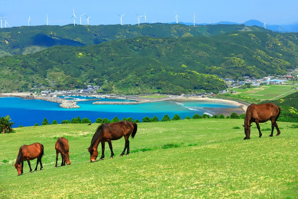 伊良湖岬｜愛知県田原市のおすすめ観光・レジャースポット｜旅色