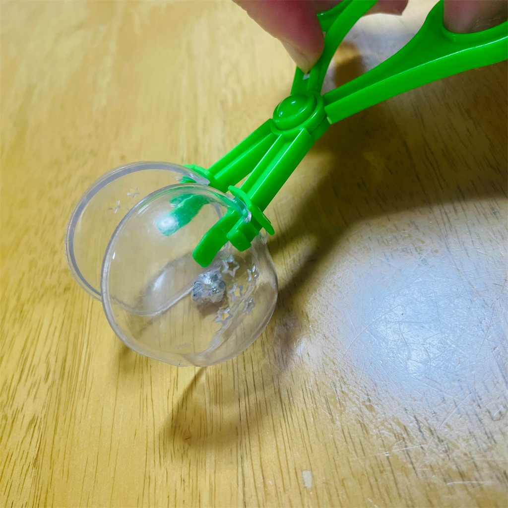 バグキャッチャー セリア コーナーTikTok