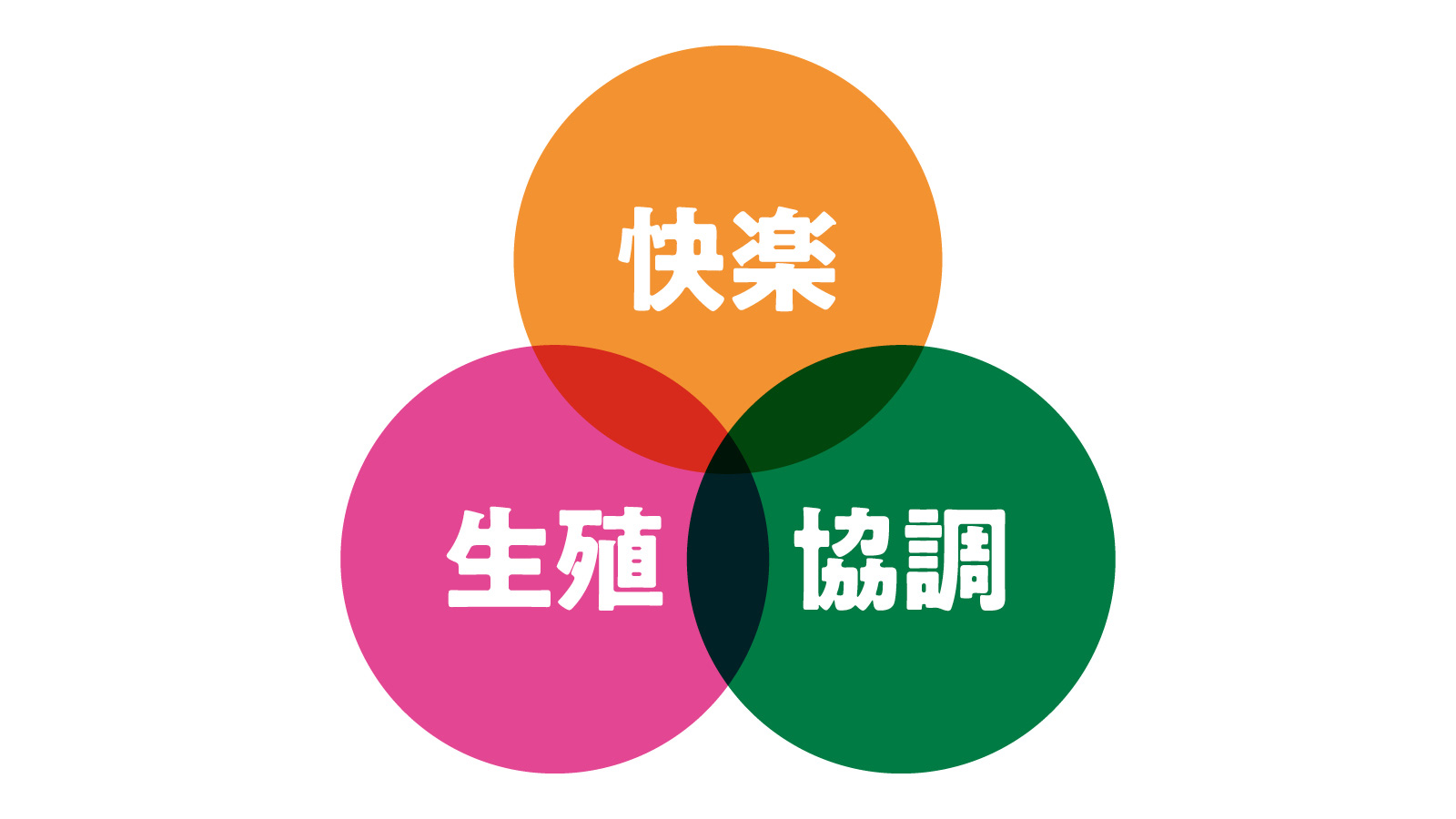 プレミアム アイドル大図鑑 平成１０年１０月３０日発行 -