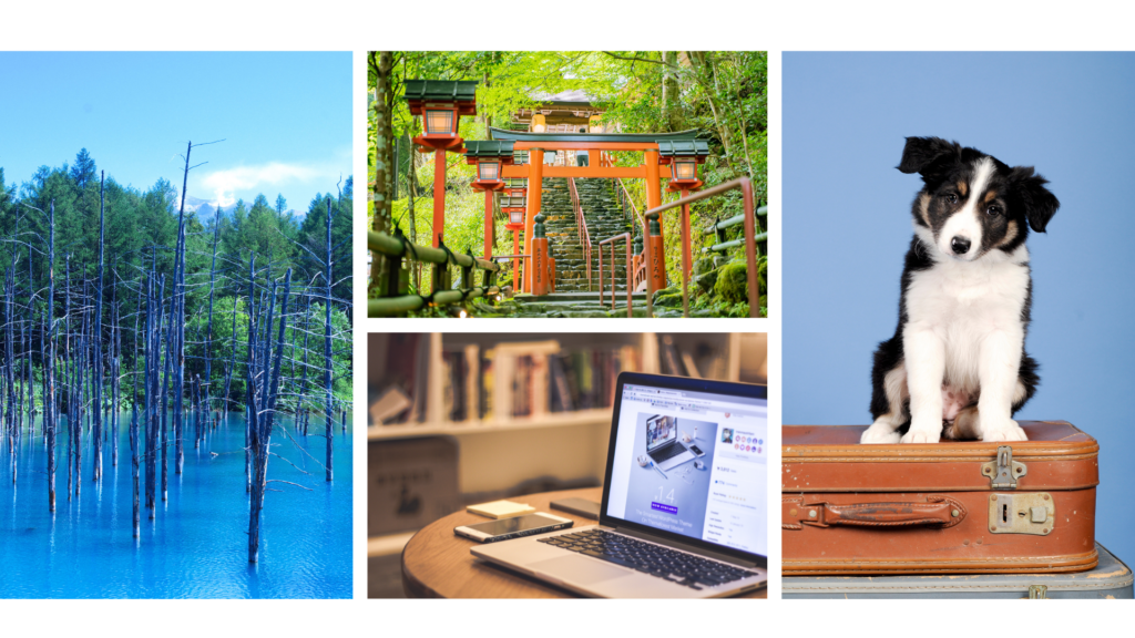 2025年 無料で商用利用できる おすすめフリー画像・写真素材サイト