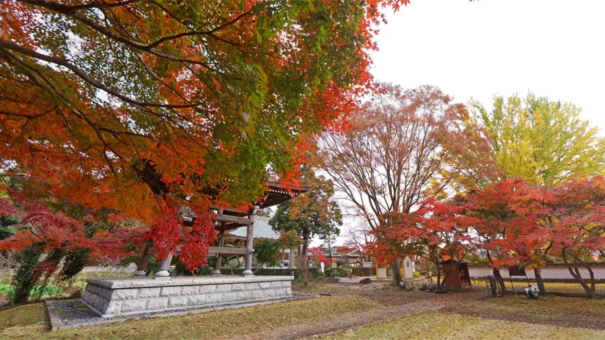 茨城の紅葉【2024】 | 観光いばらき公式ホームページ