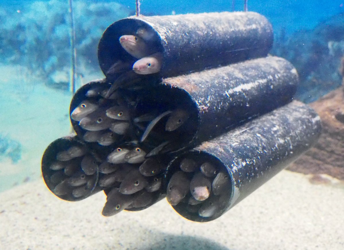 生業支援事業 ~表浜その２~特定非営利活動法人ジェン JEN